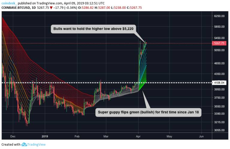 lindicatore dei prezzi di super guppy di bitcoin ribalta in primo piano dallinizio del 2018