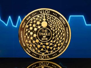 new nova e iota foundation partnership promuove la crescita separatista dellimprenditoria iota