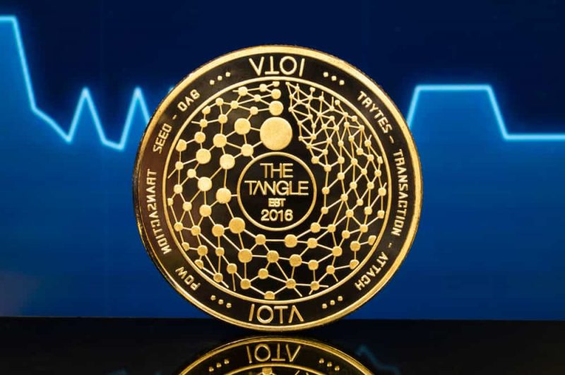 new nova e iota foundation partnership promuove la crescita separatista dellimprenditoria iota