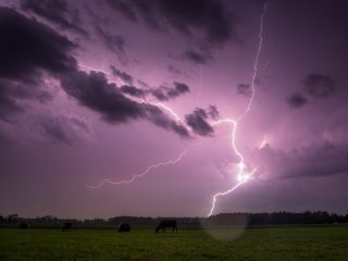 questa nuova app lightning mira a rendere il pagamento a bitcoin piu facile