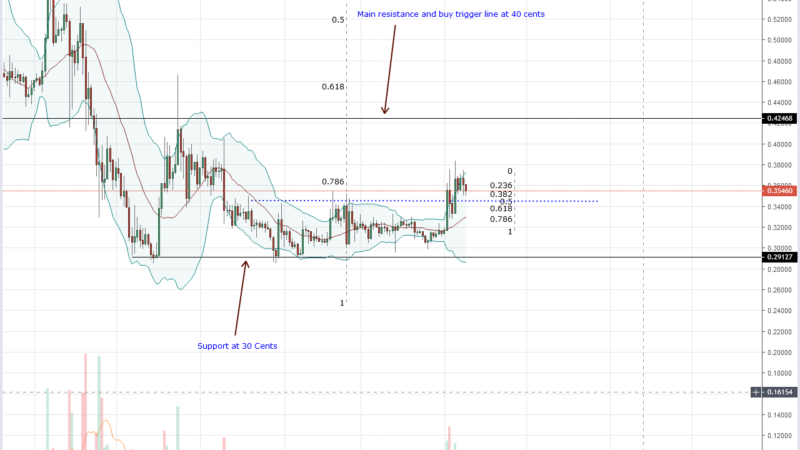 ripple xrp drawdown coinbase e un rischio sistemico