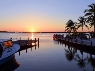 la florida crea una task force per indagare sui vantaggi economici di blockchain bitsonline