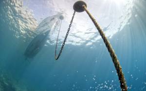 liquid sidechain di bitcoin fa uno splash su bitfinex 1