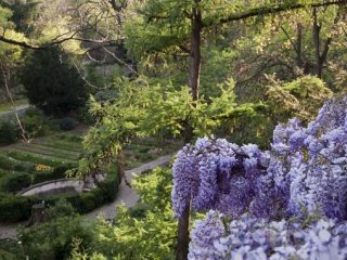 Orto botanico di Brera