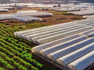 accenture e amazon managed blockchain che collegano i produttori su piccola scala alla catena del valore forbes