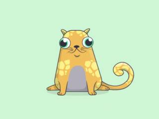 Il produttore di CryptoKitties Dapper Labs raccoglie 11 milioni di dollari per la nuova blockchain