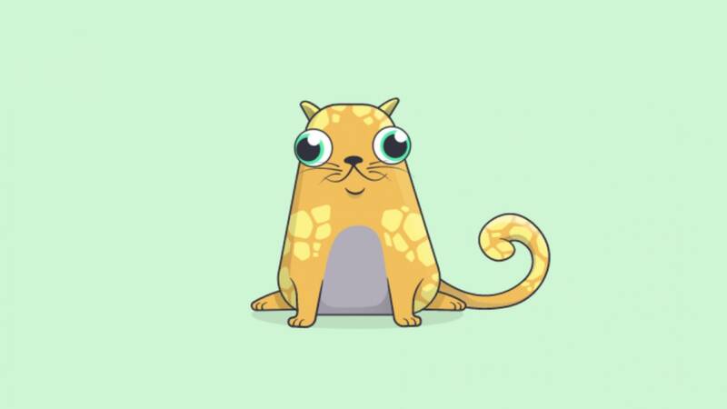 Il produttore di CryptoKitties Dapper Labs raccoglie 11 milioni di dollari per la nuova blockchain 800x450 - Il produttore di CryptoKitties Dapper Labs raccoglie 11 milioni di dollari per la nuova blockchain