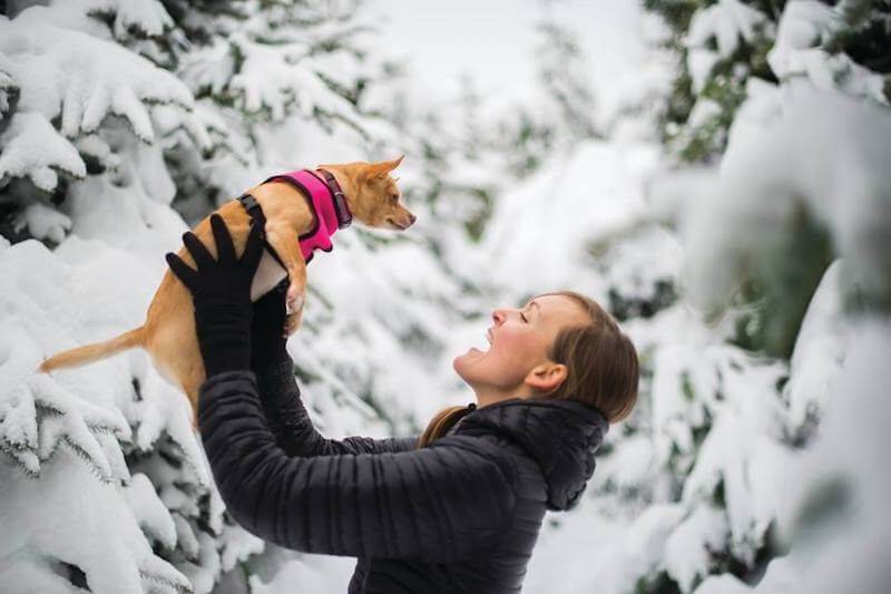 cinque rivenditori marchi che si occupano della blockchain in questo momento yahoo finance 800x533 - Cinque applicazioni della Blockchain che fanno storia nel mondo