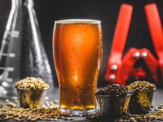 gli incredibili modi in cui i birrai di budweiser utilizzano lintelligenza artificiale per trasformare lindustria della birra forbes