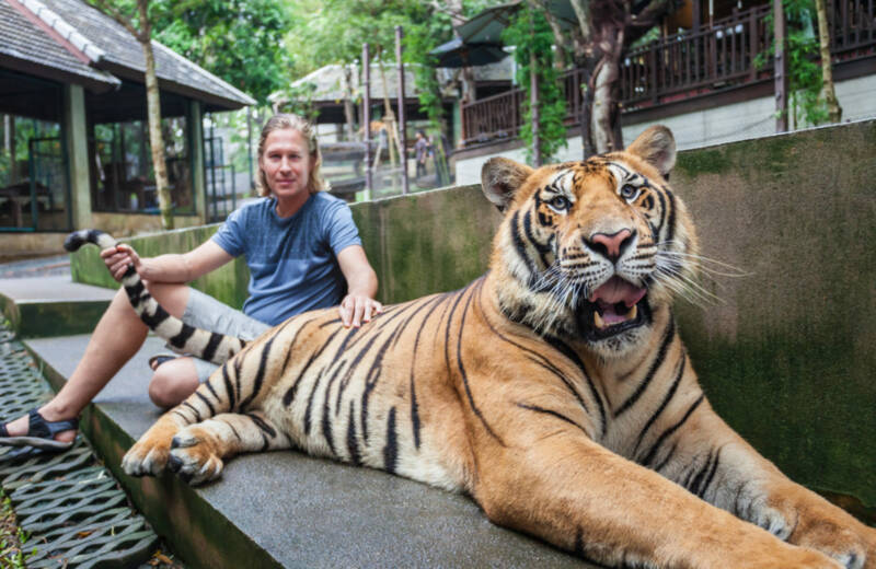 il sistema finanziario globale puo adottare bitcoin circle ceo newsbtc 800x520 - Il sistema finanziario globale può adottare le Stablecoin per risorgere secondo Jeremy Allaire CEO Circle