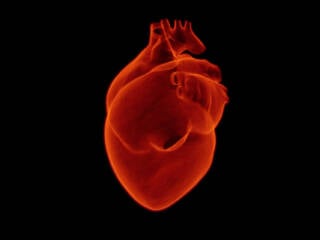 lintelligenza artificiale utilizzata per rilevare il rischio di infarto techcentral