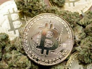 bitcoin e cannabis questo negozio di cbd nel regno unito accetta criptovaluta health europa