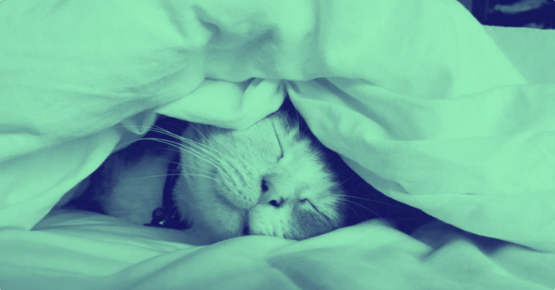 Il tuo Ledger ora ti consente di guadagnare criptovaluta mentre dormi il libro mastro ora ti consente di guadagnare criptovaluta mentre dormi decrypt 800x418 - Il tuo Ledger ora ti consente di guadagnare criptovaluta mentre dormi