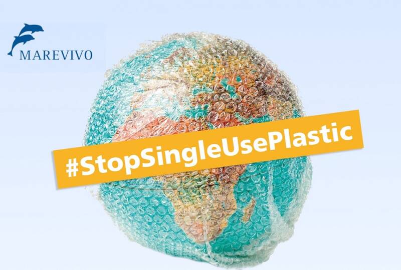 messa al bando dei bicchieri di plastica monouso Plastica monouso 800x539 - messa al bando dei bicchieri di plastica monouso