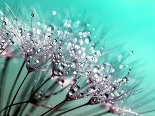 Il trojan bancario più temuto torna: strategie efficaci per proteggere conto