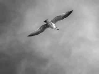 Recessione americana in diminuzione e Borse mondiali mostrano segni di ripresa