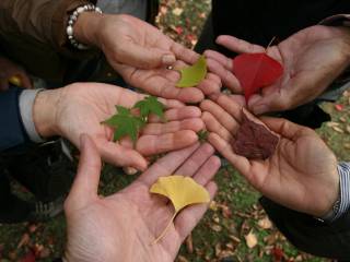 Scopri le funzionalità di Gemini Live, l'assistente AI di Google 2023