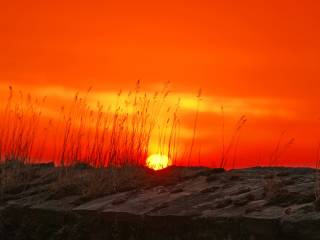 Silent Hill 2 ritorna con un remake imperdibile per i fan del horror