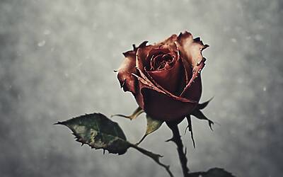 Alessandro Rizzo racconta la sua verità dopo il tradimento di Shaila Gatta