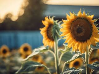 Bianca Balti parla della chemioterapia e della lotta contro il tumore
