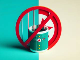 Bolsonaro scherza sul divieto di X in Corea del Nord