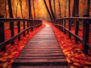 Riflessioni essenziali prima di proseguire il tuo percorso di crescita personale