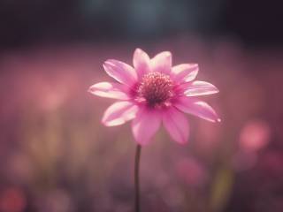 Rivelazioni sul marito di Paola Marella e gli ultimi giorni della sua vita