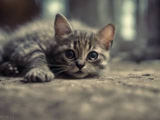 Temptation Island terza puntata con fidanzati esilaranti e dove vederla