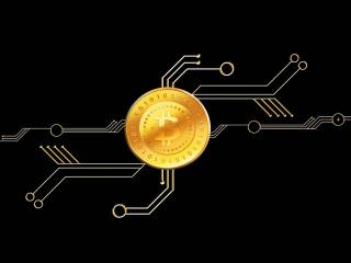 Trump Coins lanciate in un momento di crisi di donazioni rispetto a Harris