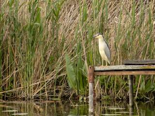 Alessandra Amoroso lancia l'autunno 2024 con scollatura audace e cuissardes accese