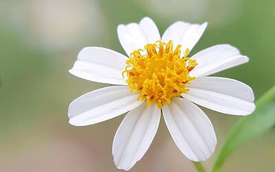 Biden critica Netanyahu: parole choc che scuotono il dibattito internazionale.