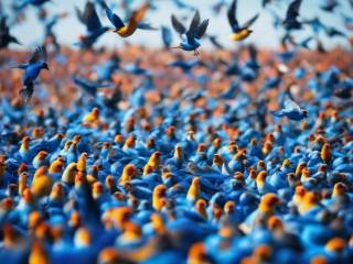 Bluesky accoglie nuovi utenti ma i server affrontano gravi difficoltà