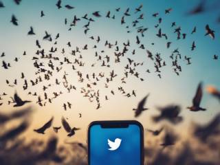 Bluesky conquista nuovi utenti e supera i limiti di X cambiando il gioco