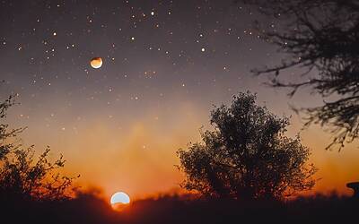 Eclissi solare 2023: scopri dove e quando ammirare questo spettacolo unico