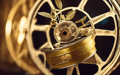 Festival del Cinema Europeo 2024 a Lecce con Ken Loach e Giovanna Mezzogiorno