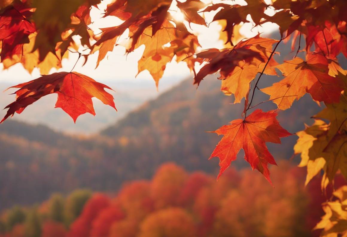 Foliage negli Stati Uniti: esplora i magici colori dell'autunno 2023