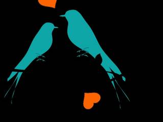 Francesca Tocca lascia i professionisti di Amici 24: il ruolo di Raimondo Todaro