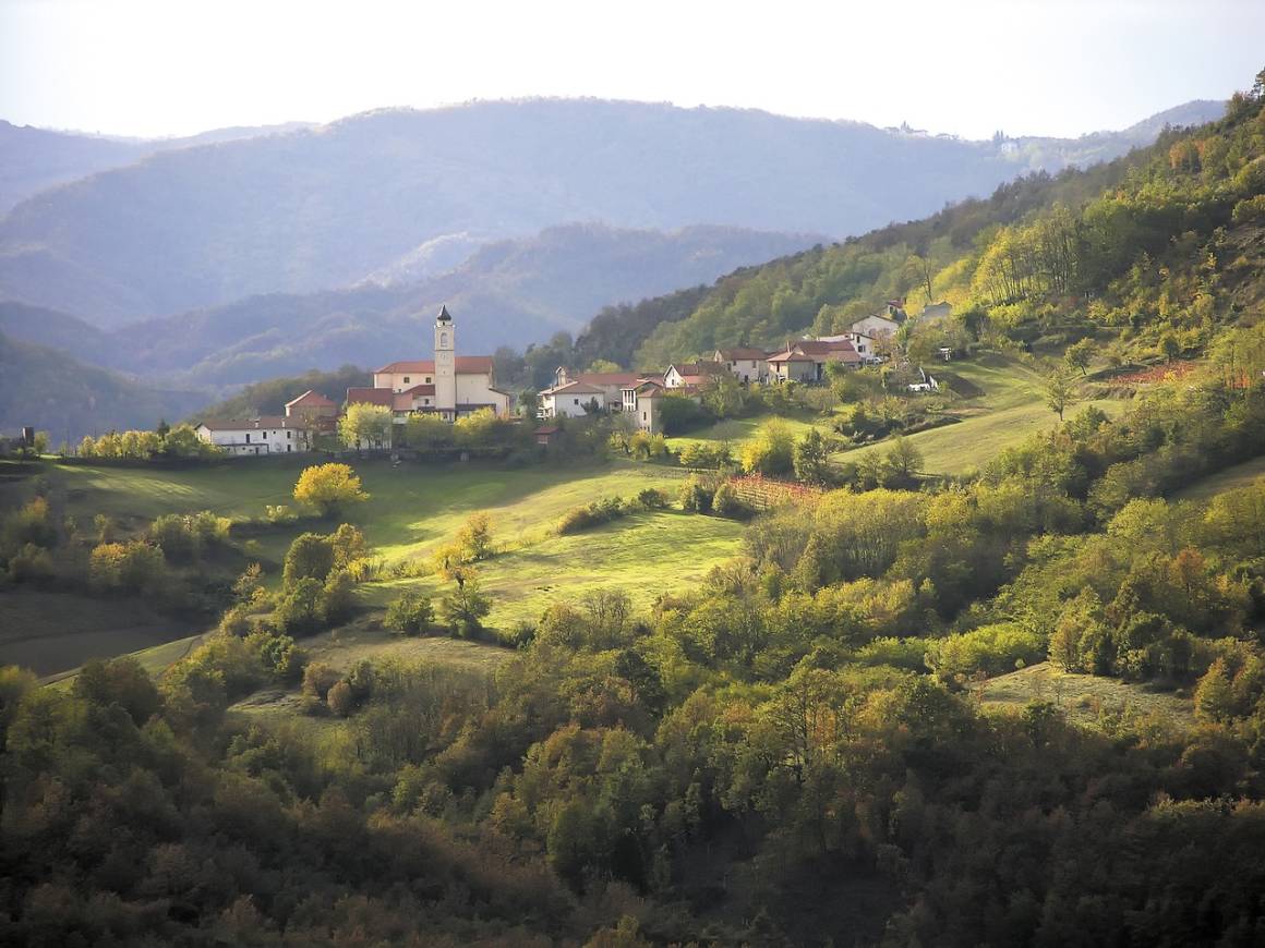 Funghi nelle Langhe: migliori ristoranti, prodotti tipici e ricetta esclusiva