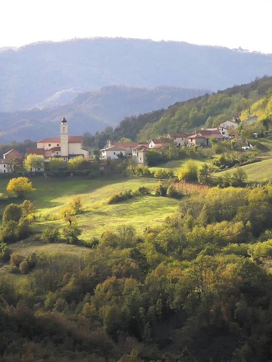 Funghi nelle Langhe: migliori ristoranti, prodotti tipici e ricetta esclusiva