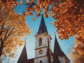 Galatina scopre storia e tradizione nelle Giornate FAI d’autunno 2024