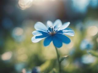 Giornata Mondiale della Salute Mentale, Mattarella invita a proteggere il benessere psicologico