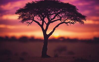 Harry esplora le meraviglie del Lesotho: viaggio in solitaria in Africa