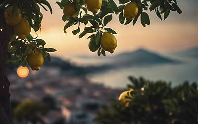 Hotel Ara Maris a Sorrento, scopri la poesia della Costiera Amalfitana