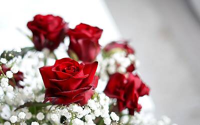 La serie animata giapponese del 1974 in mostra a Lugano