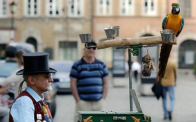 Lorenzo Spolverato e Shaila Gatta scaldano il GF spagnolo con frasi audaci