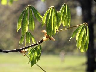 Luciano si risveglia dal coma: la sua sorprendente avventura nel 1980