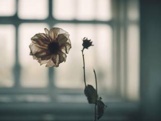 Mamma di 41 anni scopre tumore incurabile dopo diagnosi di long covid