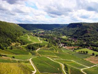 Massimiliano Ossini sfida la giuria in un esclusivo dietro le quinte!