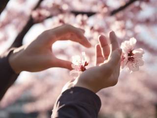 Nihon Hidankyo vince il Nobel per la pace 2024: il riconoscimento della speranza