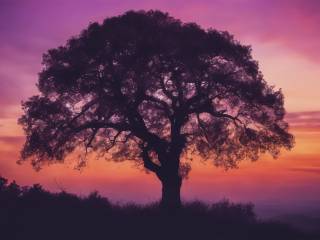 One Tree Hill e i sequel: un’analisi necessaria sulla loro utilità attuale